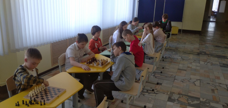 Cоревнования по шахматам «Белая ладья».