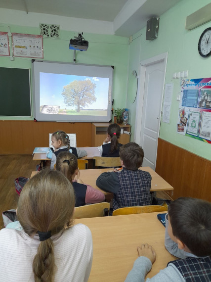Всероссийский урок &quot;Эколята - молодые защитники природы 2023&quot;.
